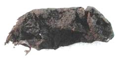 Мумифицировавшийся во льдах Новосибирских островов лемминг хорошо сохранился на протяжении 200 тысяч лет